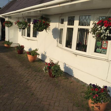 Brynawel Farm B&B Pontlliw Екстериор снимка