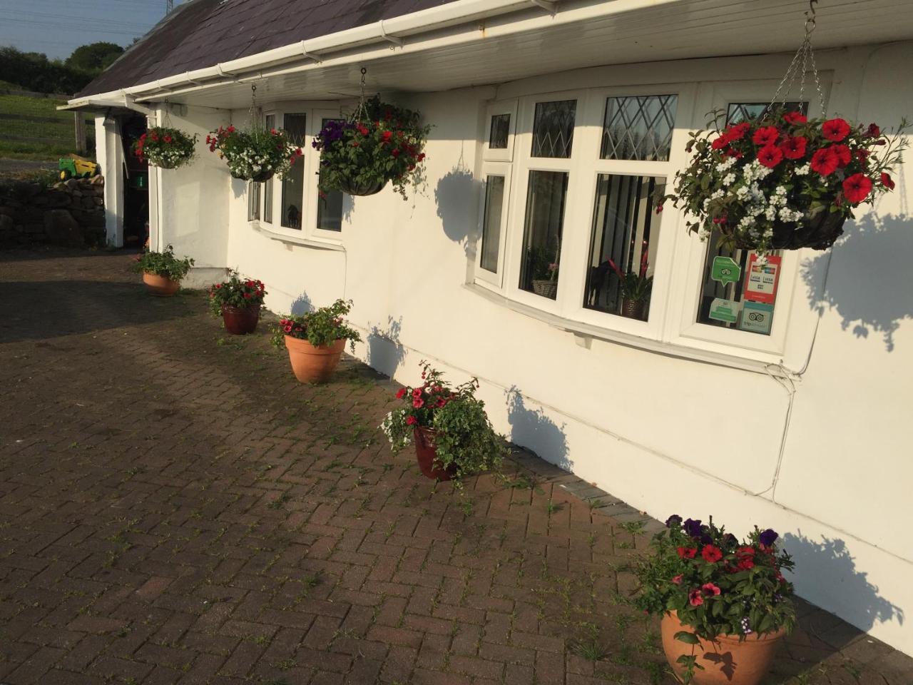 Brynawel Farm B&B Pontlliw Екстериор снимка